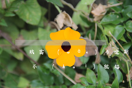 玖富萬(wàn)卡逾期怎么辦?這樣做一般不會(huì)被起訴（玖萬(wàn)富卡逾期多久會(huì)被起訴）