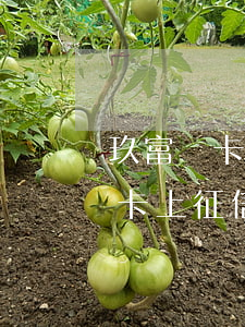 玖富萬卡上征信有逾期記錄怎么辦-玖富萬卡上征信有逾期記錄怎么辦啊