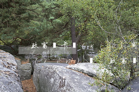 玖富萬卡協(xié)商還款后app不認(rèn)賬-玖富萬卡協(xié)商還款后app不認(rèn)賬怎么辦