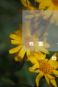 玖富萬卡協(xié)商還款怎么沒有來電話-玖富萬卡協(xié)商還款怎么沒有來電話呢