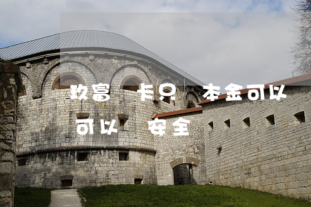 玖富萬卡只還本金可以嗎(玖富萬卡只還本金可以嗎安全嗎)