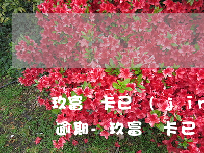 玖富萬卡已經(jīng)還完了征信顯示逾期-玖富萬卡已經(jīng)還完了征信顯示逾期怎么辦
