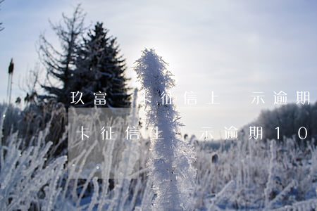 玖富萬卡征信上顯示逾期10個月-玖富萬卡征信上顯示逾期10個月怎么辦