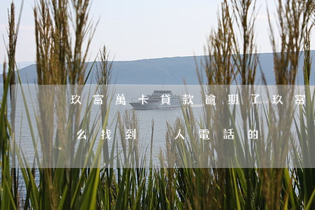 玖富萬卡貸款逾期了(玖富萬卡貸款逾期了,怎么找到別人電話的)