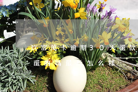 玖富萬卡逾期30天還款(玖富萬卡有逾期不還的嗎 最后怎么樣)