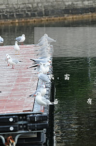 玖富萬卡逾期31天(玖富萬卡逾期幾天還款后沒有上征信)