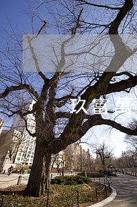 玖富萬卡逾期一個(gè)月利息高不高-