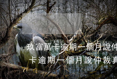 玖富萬卡逾期一個月說仲裁真的嗎-玖富萬卡逾期一個月說仲裁真的嗎