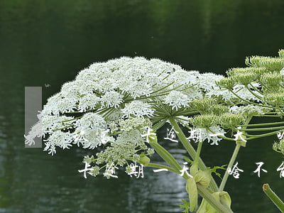 玖富萬卡逾期一天為啥不能還款了-玖富萬卡逾期一天為啥不能還款了呢