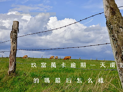 玖富萬卡逾期一天還款(玖富萬卡有逾期不還的嗎 最后怎么樣)
