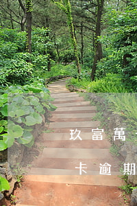 玖富萬卡逾期一星期會終止合同嗎-玖富萬卡逾期一星期會終止合同嗎知乎