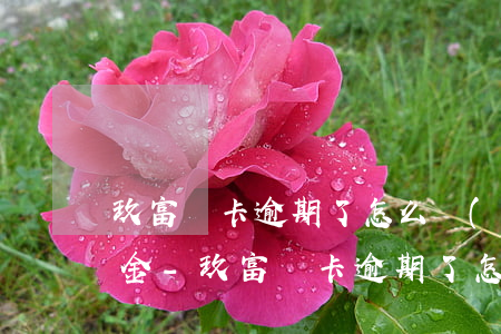玖富萬卡逾期了怎么協(xié)商只還本金-玖富萬卡逾期了怎么協(xié)商只還本金呢