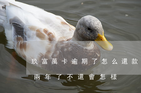 玖富萬卡逾期了怎么還款(玖富萬卡欠款逾期兩年了不還會怎樣)