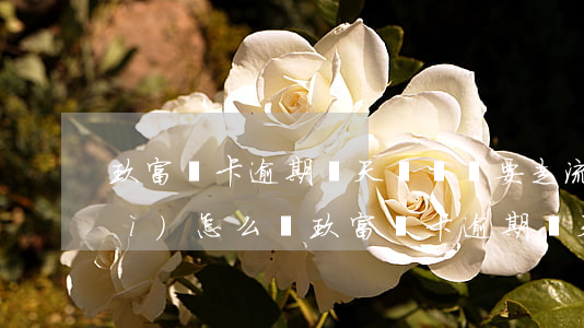 玖富萬卡逾期兩天沒還說要走流程會(huì)怎么樣，玖富萬卡逾期兩天未還款，將啟動(dòng)流程處理