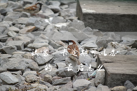 玖富萬卡逾期可以房貸嗎(玖富萬卡有逾期不還的嗎 最后怎么樣)