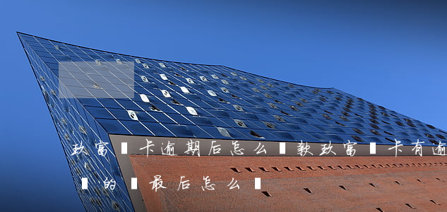 玖富萬卡逾期后怎么還款(玖富萬卡有逾期不還的嗎 最后怎么樣)
