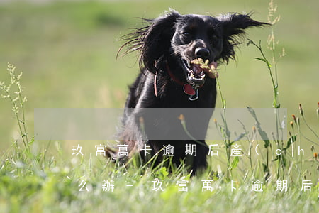 玖富萬卡逾期后產(chǎn)生高利息怎么辦-玖富萬卡逾期后產(chǎn)生高利息怎么辦啊