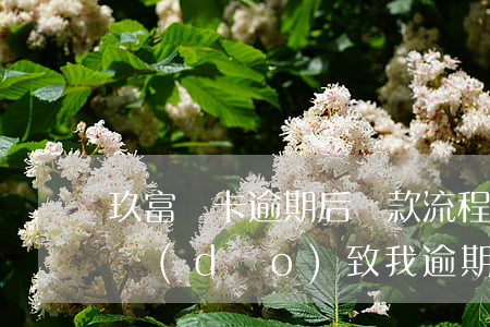 玖富萬卡逾期后還款流程(玖富萬卡還款失敗導(dǎo)致我逾期怎么辦)