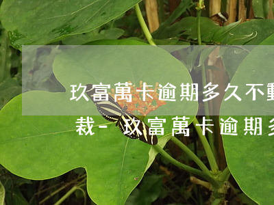 玖富萬卡逾期多久不動產(chǎn)被仲裁-玖富萬卡逾期多久不動產(chǎn)被仲裁