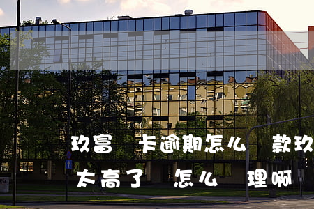 玖富萬卡逾期怎么還款(玖富萬卡的逾期利息太高了該怎么處理啊)