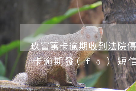玖富萬卡逾期收到法院傳票怎么辦-玖富萬卡逾期發(fā)短信來說進(jìn)入法律程序