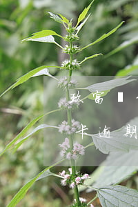 玖富萬卡逾期直接app上還款嗎-玖富萬卡逾期直接app上還款嗎安全嗎