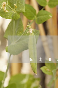 玖富說只還本金(玖富本金已還完清)