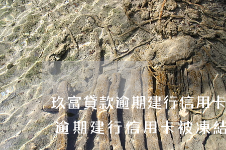玖富貸款逾期建行信用卡被凍結-玖富貸款逾期建行信用卡被凍結怎么辦