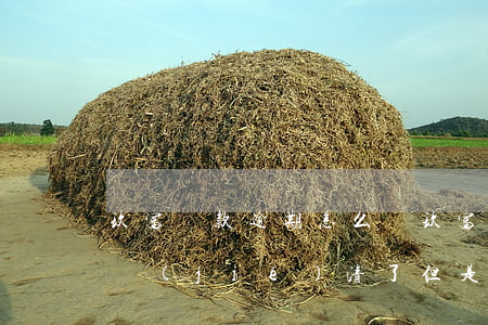 玖富貸款逾期怎么辦(玖富已經(jīng)結(jié)清了,但是還在一直說我逾期)