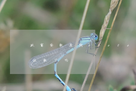 玖富贷款逾期2020(2020年玖富停止放款了吗)