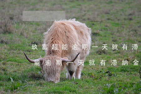玖富超能逾期一天就有滯納金了嗎-玖富超能逾期一天就有滯納金了嗎是真的嗎