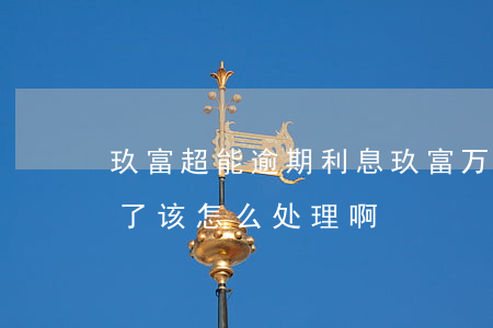 玖富超能逾期利息(玖富万卡的逾期利息太高了该怎么处理啊)