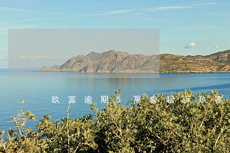 玖富逾期5萬會起訴(玖富訴訟有事嗎)