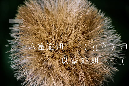 玖富逾期一個(gè)月會(huì)被起訴嗎-玖富逾期一個(gè)月會(huì)被起訴嗎