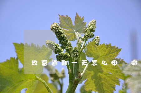 玖富逾期一天怎么申請撤銷(玖富逾期兩年)