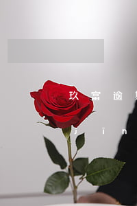 玖富逾期一年想還款(玖富欠了2萬多,已經(jīng)逾期百多天會不會被起訴吧)