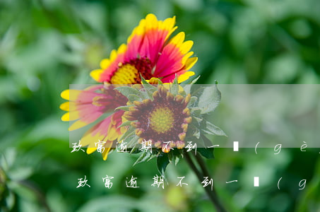 玖富逾期不到一個(gè)月說要仲裁我-玖富逾期不到一個(gè)月說要仲裁我是真的嗎