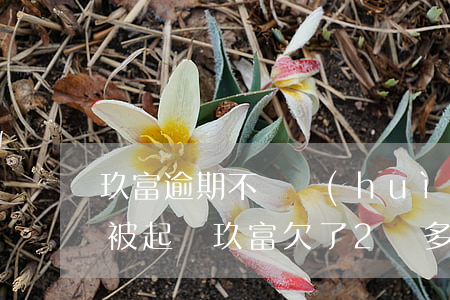 玖富逾期不還會(huì)不會(huì)被起訴(玖富欠了2萬多,已經(jīng)逾期百多天會(huì)不會(huì)被起訴吧)