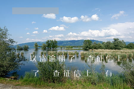 玖富逾期了剛查征信上沒有記錄了(玖富逾期了剛查征信上沒有記錄了怎么回事)