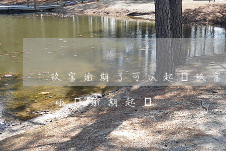 玖富逾期了,可以起訴玖富商議還款嗎（玖富潤小貸逾期起訴）