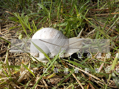 玖富逾期了征信還會影響征信嗎-玖富逾期了征信還會影響征信嗎知乎