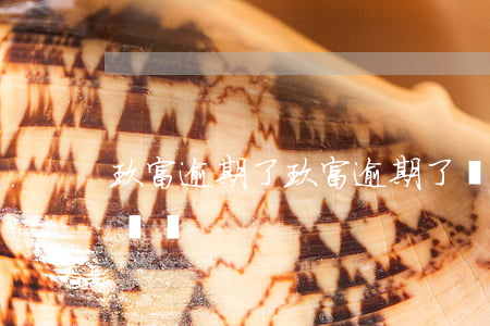 玖富逾期了(玖富逾期了沒和我打電話律師打電話)
