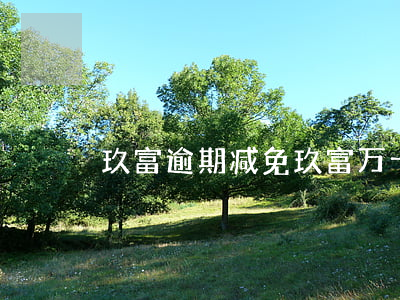 玖富逾期减免(玖富万卡罚息减免)
