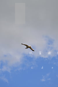 玖富逾期后保險(xiǎn)公司要錢(qián)合法嗎-玖富逾期后保險(xiǎn)公司要錢(qián)合法嗎知乎