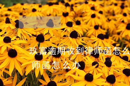 玖富逾期收到律师函怎么办(玖富逾期收到律师函怎么办)