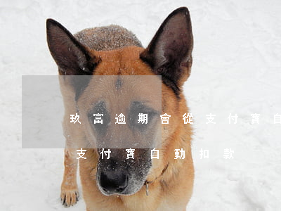 玖富逾期會從支付寶自動扣款(玖富逾期會從支付寶自動扣款)