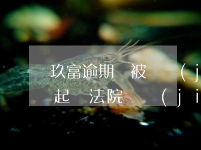 玖富逾期會被凍結(jié)銀行卡嗎(玖富起訴法院凍結(jié)銀行卡)