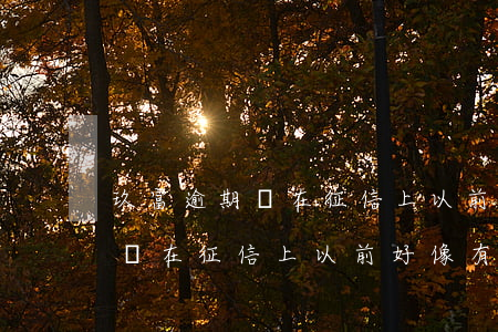 玖富逾期沒在征信上以前好像有-玖富逾期沒在征信上以前好像有逾期記錄