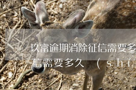 玖富逾期消除征信需要多久(玖富逾期消除征信需要多久時(shí)間)