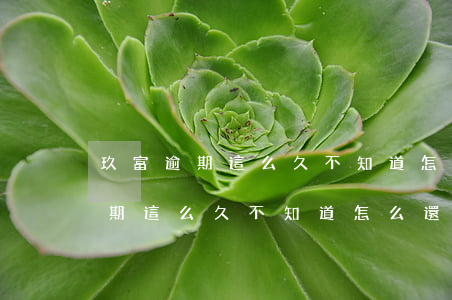 玖富逾期這么久不知道怎么還款了-玖富逾期這么久不知道怎么還款了呢